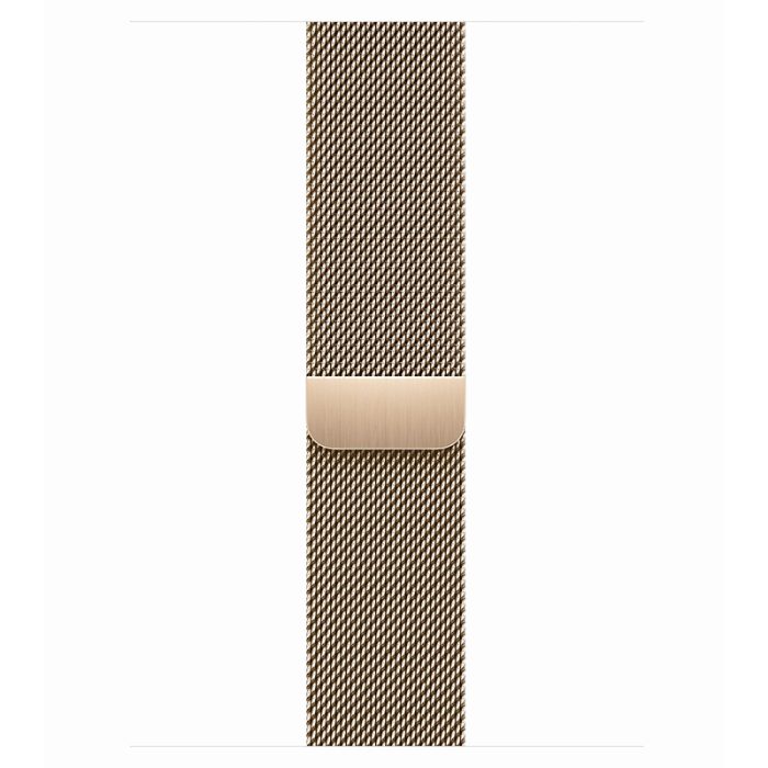 Apple Watch Series 9 GPS Cellular 45mm Gold Stainless Steel Case with Gold Milanese Loop Hiapple 1